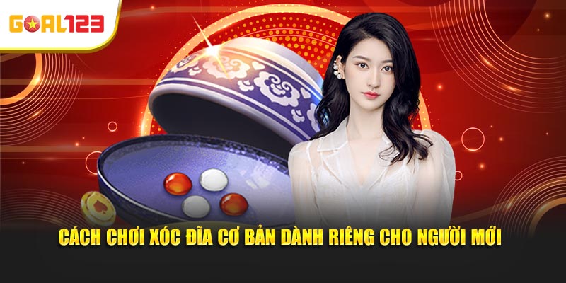 Cách chơi xóc đĩa cơ bản dành riêng cho người mới