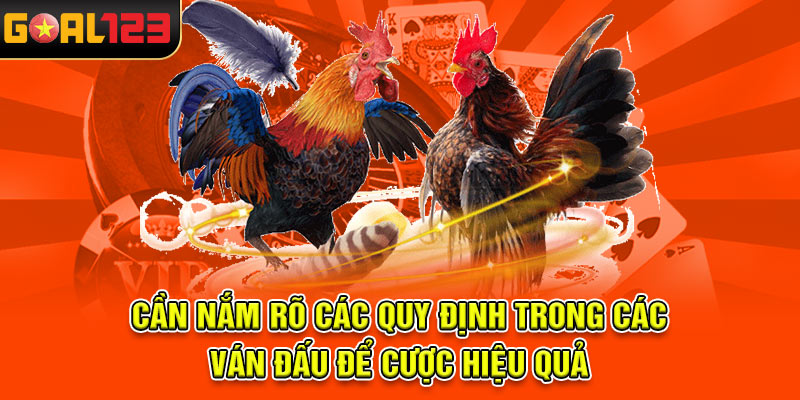 Cần nắm rõ các quy định trong các ván đấu để cược hiệu quả