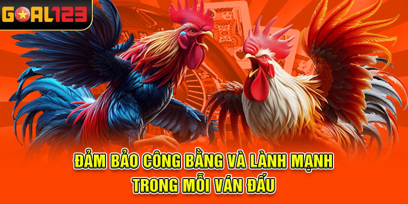 Đảm bảo công bằng và lành mạnh trong mỗi ván đấu