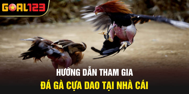 Hướng dẫn tham gia đá gà cựa dao tại nhà cái