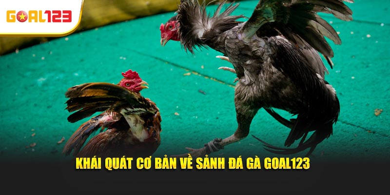 Khái quát cơ bản về sảnh đá gà Goal123