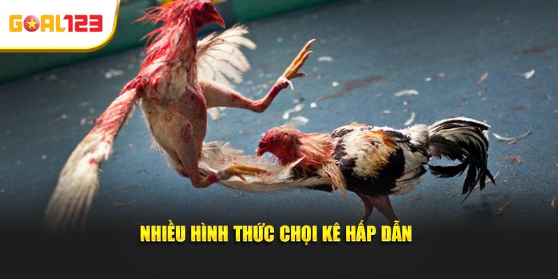Nhiều kiểu, hình thức chọi kê hấp dẫn