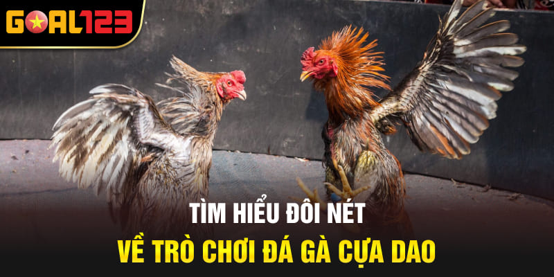 Tìm hiểu đôi nét về trò chơi đá gà cựa dao