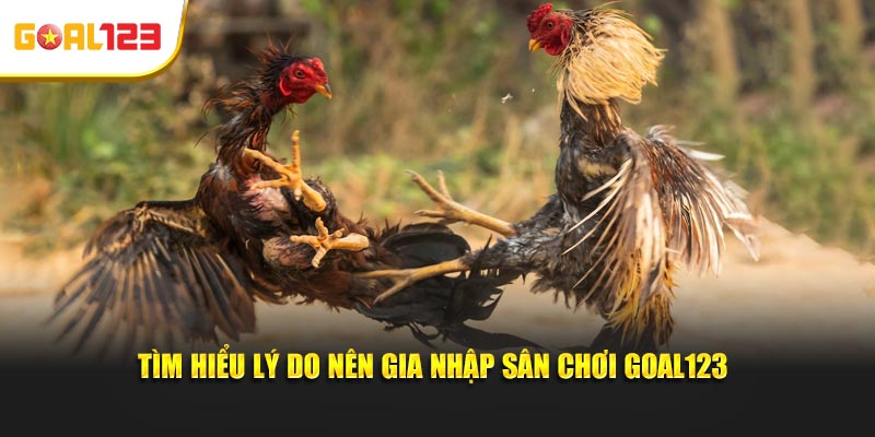 Tìm hiểu lý do nên gia nhập sân chơi Goal123