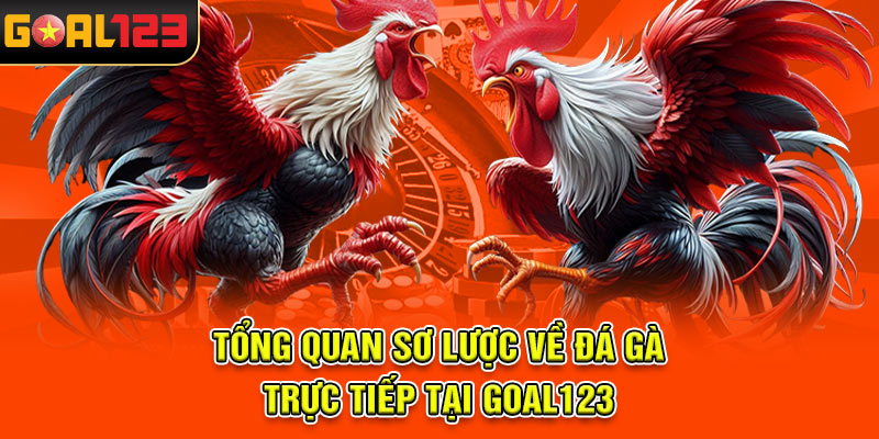 Tổng quan sơ lược về Đá gà trực tiếp tại Goal123