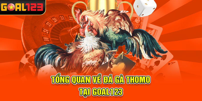 Tổng quan về Đá gà Thomo tại Goal123