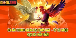 Đá gà Thomo Goal123 hôm nay – Tỷ lệ cược cực kỳ hấp dẫn