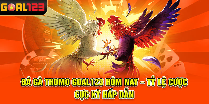 Đá gà Thomo Goal123 hôm nay – Tỷ lệ cược cực kỳ hấp dẫn