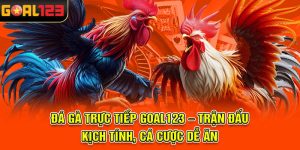 Đá gà trực tiếp Goal123 – Trận đấu kịch tính, cá cược dễ ăn