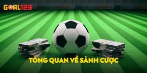 IM Thể Thao - Nơi Đốt Cháy Niềm Đam Mê Cá Cược Của Bạn